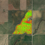 Yield Map