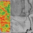 Yield Map